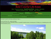 Tablet Screenshot of boldcolorlife.com